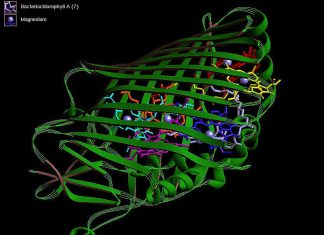 Descoperire Îngrijorătoare: Proteine Concepute de AI Pot Ocoli Sistemele de Securitate Biologică 5 (5)