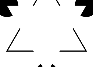 Neuronii care ne permit să vedem iluzii optice 5 (1)