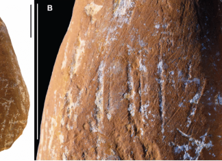 Descoperiri Arheologice: Neanderthalienii foloseau creioane din ocru pentru artă 1 (1)