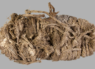 Descoperire Fascinantă în Spania: Un Pantof din Iarbă Veche de 750 de Ani, Găsit în Cuibul unui Vultur Barbos 5 (3)