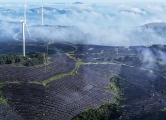 Boom-ul global al energiei solare: Prețuri în scădere, potențial uriaș, dar SUA rămân în urmă 0 (0)