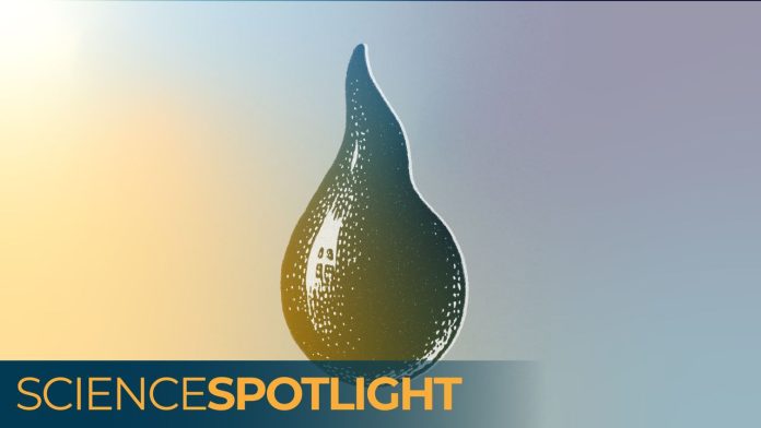 hXF3G6qG9ARcriM65EFnm-1280-80