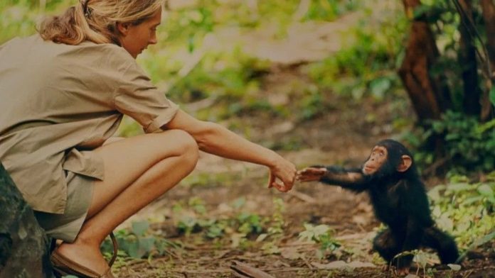 jvkHUmqEETi9sw2Z97cbxY-1280-80