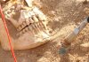 Descoperirile ADN dezvăluie bolile care au decimat armata lui Napoleon