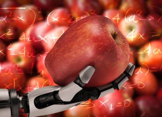 ChatGPT va oferi conținut erotic pentru utilizatorii majori, cu verificare de vârstă, anunță CEO-ul 0 (0)