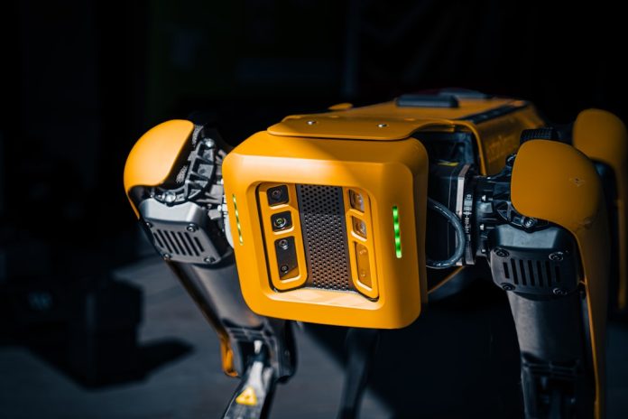 Rolul roboticii în deminarea și curățarea zonelor de conflict