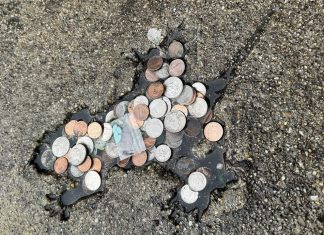 “Gaura de Șobolan” din Chicago, Opera unei Veverițe, Susțin Cercetătorii 3.5 (4)