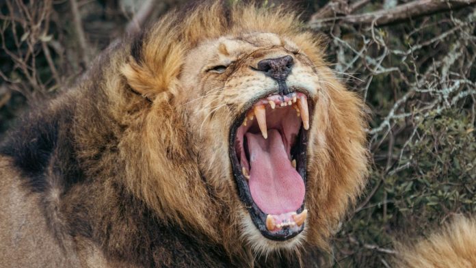 2WQRYKp5QUciHkBsDUp5pN-1280-80