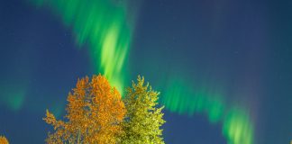 Cea mai puternică erupție solară din 2025 aduce aurora boreală până în sudul Statelor Unite 5 (2)