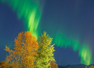 Cea mai puternică erupție solară din 2025 aduce aurora boreală până în sudul Statelor Unite 5 (2)