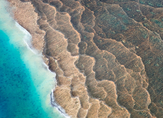 Dezmembrarea supercontinentului antic Nuna a creat “incubatoare” pentru viața complexă, arată un nou studiu 0 (0)