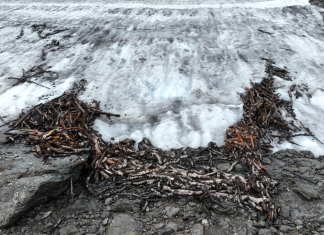 Descoperire Unică în Munții Norvegiei: Capcana de Reni Veche de 1.500 de Ani și Alte Artefacte Misterioase 0 (0)