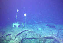 Vulcanul submarin din Oregon nu va erupe până la sfârșitul anului 2026