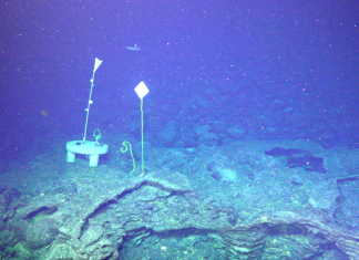 Vulcanul submarin din Oregon nu va erupe până la sfârșitul anului 2026 0 (0)