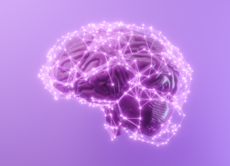 “Când știința întâlnește amintirile: Controlul memoriei la rozătoare cu ajutorul laserelor” 1 (1)