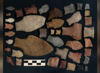 Descoperirea ADN-ului Antic Dezvăluie un Liniaj Indigen Misterios în Argentina Centrală, Izolat de Alții Timp de 8500 de Ani 5 (1)