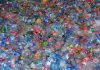 Bioplasticul: Putem crea ambalaje din plante, nu din petrol?