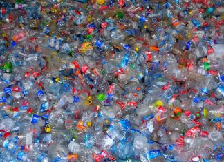 Bioplasticul: Putem crea ambalaje din plante, nu din petrol? 0 (0)