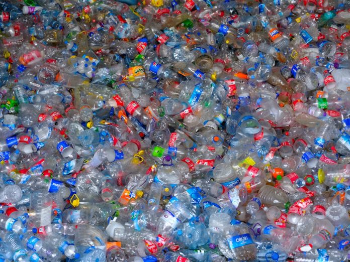 Bioplasticul: Putem crea ambalaje din plante, nu din petrol?