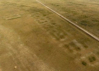 Descoperirea Uimitoare a unui Oraș din Epoca Bronzului în Kazahstan Redefinește Societățile Stepice 1 (1)