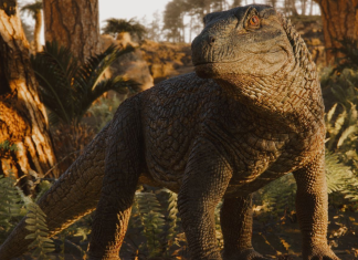 Descoperirea unui strămoș al crocodililor, înarmat cu armură din perioada Triasică, schimbă perspectivele paleontologice 4.7 (3)