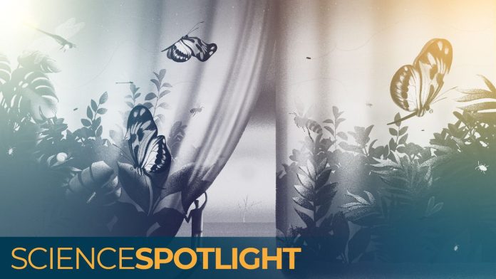 qwXcaaQDHiJtNpVcjCudFo-1280-80