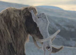 Lupta Spectaculoasă dintre Mamuții Lânoși și Pisicile cu Sabie în Noua Animație din “Planeta Preistorică: Era Ghețarilor” 3 (2)