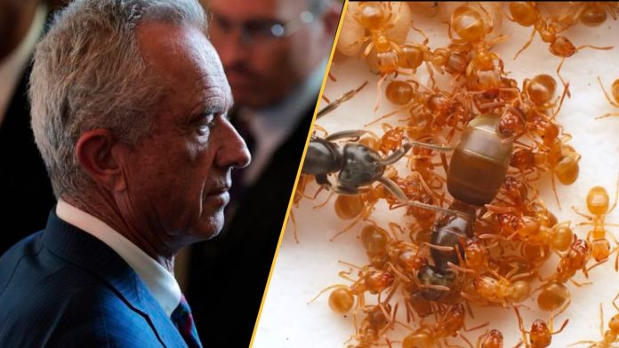 wYJ5sm6gXT5HCHsb6cS2Qg-1280-80