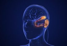 Descoperire Promițătoare pentru Tratamentul Pierderii Auditive la Vârstnici