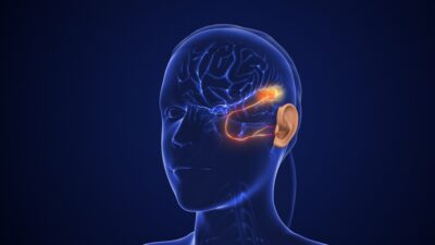 Auditory-pathway-400x225