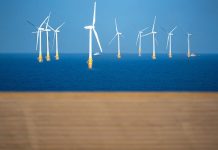 Curtea Decide: Apărarea „Pentru că așa a zis Trump” Nu este Legal Valabilă