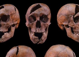 Descoperiri Fascinante: De la Asasinarea unui Duce Ungar la Secretele Ciocănitorilor 4 (4)