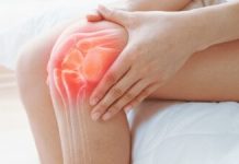 O Moleculă Mică Regenerează Cartilajul la Șoarecii În Vârstă