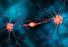 Proteina Recombinantă Umană Ar Putea Opri Pierderea Neuronală în Boala Alzheimer