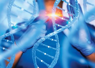 Noua Terapie de Editare Genetică Poate Inversa Cea Mai Comună Boală Ereditară a Rinichilor la Șoareci 0 (0)
