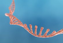 Coduri de Bară Moleculare: Monitorizarea Cancerului în Timp Real Prin ARN-uri Orfane