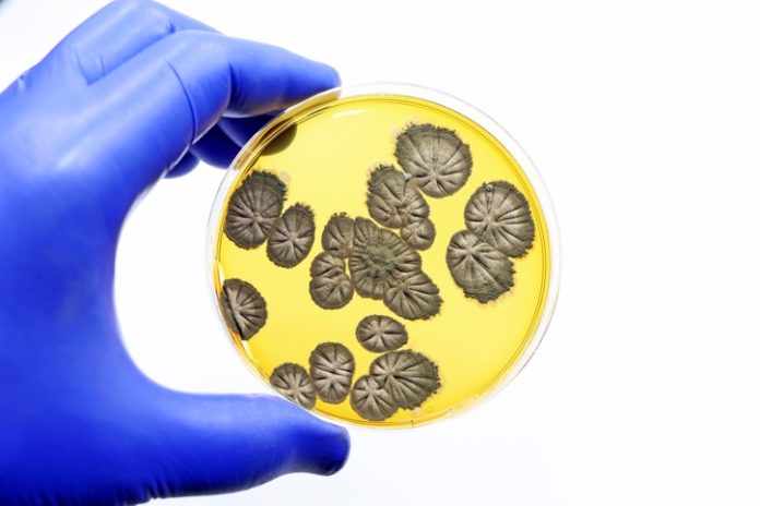 GettyImages-1500770280