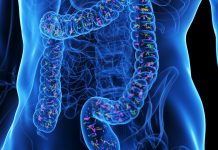 Bacteriile Intestinale Ar Putea Fi Cheia pentru Reîntinerirea Intestinelor