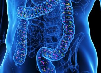 Bacteriile Intestinale Ar Putea Fi Cheia pentru Reîntinerirea Intestinelor 5 (1)