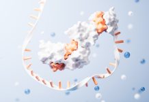 Medicina Genetică la Intersecție: ASO-uri pentru Editarea, Splicing-ul și Regularea ARN