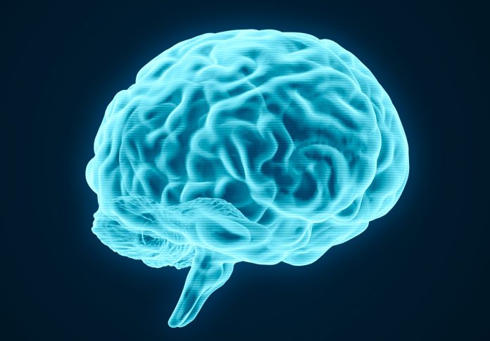 Getty_1408942960_Brain