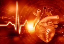 Descoperire Surprinzătoare: Proteina Hevin și Impactul ei asupra Bolilor de Inimă la Vârstnici