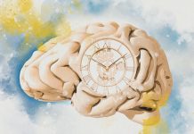 Harta Creierului Uman Dezvăluie Mecanismele Reducerii Volumului Cerebral Asociate cu Îmbătrânirea