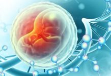 Descoperiri Revoluționare: Celulele Placentare ca Model pentru Testarea Tratamentelor Anti-îmbătrânire