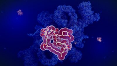 Rapamycin-molecule-400x225