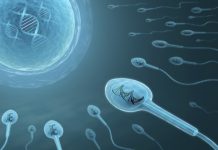 Ceasul Biologic al Îmbătrânirii Descoperit în ARN-ul Spermatozoizilor Umani