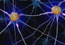 Descoperire CRISPR în Lupta împotriva Alzheimer: O Nouă Cale pentru Degradarea Proteinei Tau
