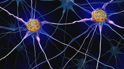 Tangles-in-neurons-400x225