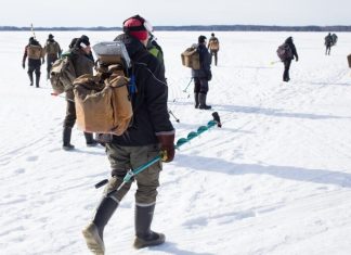 Secretele pescuitului pe gheață: Ce ne învață despre deciziile de căutare a hranei 4 (1)