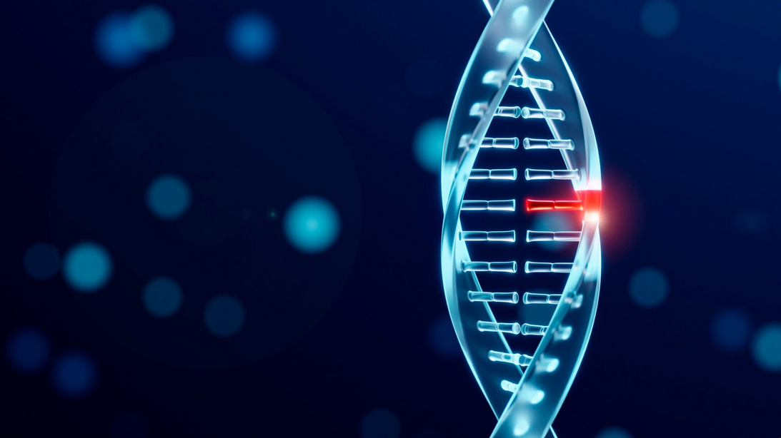 Tratamentul ADHD prin Stimulare Nervului Trigemen Ineficient, Conform Unui Studiu Recent 5 (1)